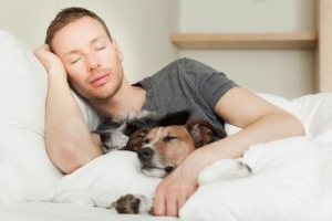 Cómo afecta a nuestro sueño dormir con el perro