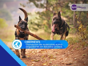 Clonación de mascotas suma seguidores en Estados Unidos